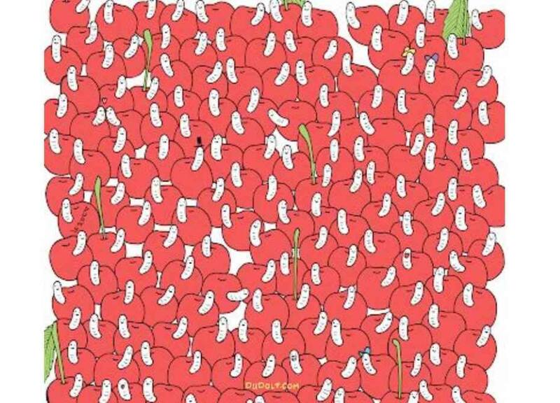 Busca y encuentra la cereza fresca en esta imagen.