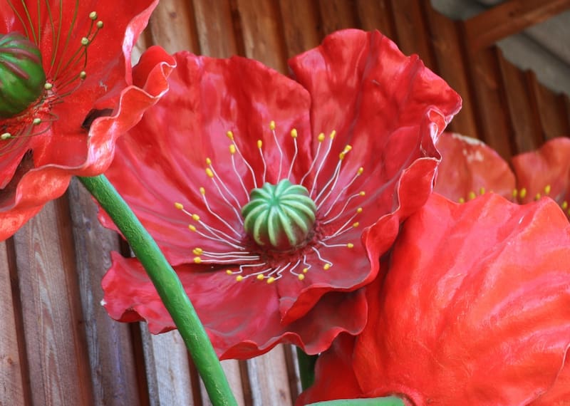 Segun el Feng Shui deberias evita tener plantas artificiales.
