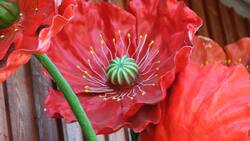 Plantas artificiales: ¿Por qué deberías evitarlas en tu hogar según el Feng Shui?