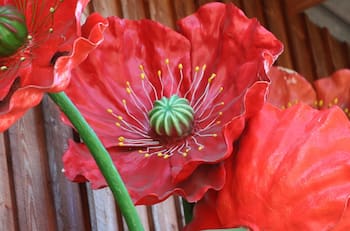 Plantas artificiales: ¿Por qué deberías evitarlas en tu hogar según el Feng Shui?