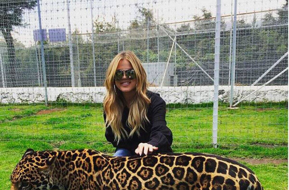 Famosos que visitaron el santuario Black Jaguar White Tiger que hoy está acusado de maltrar animales