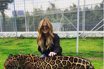 Famosos que visitaron el santuario Black Jaguar White Tiger que hoy está acusado de maltrar animales