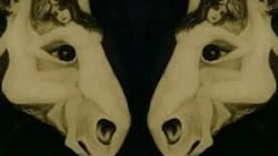 Test de personalidad: Un viaje visual al corazón de tus decisiones