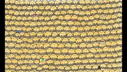 Reto visual: Encuentra a la abeja reina entre todas las trabajadoras