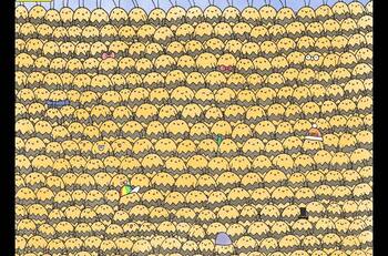 Reto visual: Encuentra a la abeja reina entre todas las trabajadoras