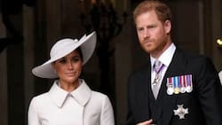La Familia Real Británica elimina el título ‘Su Alteza Real’ de Príncipe Harry en su sitio web