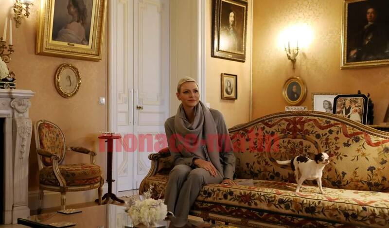 - Créditos: Twitter