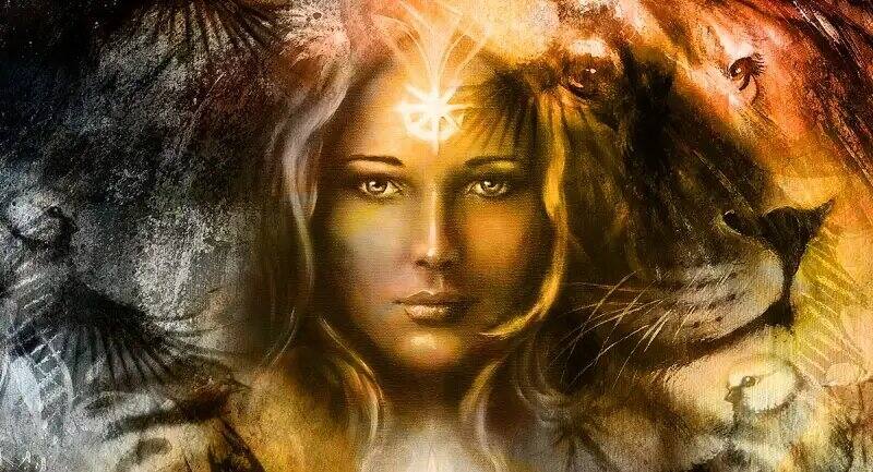 Conoce cuál animal te representa - Créditos: Twitter