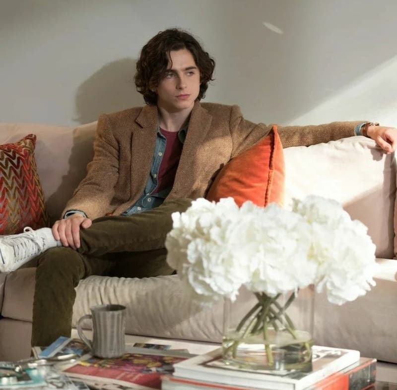 Timothée Chalamet se convirtió en vecino de Vin Diesel, Eva Longoria y Cameron Diaz - Créditos: Twitter