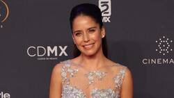 La amorosa manera en la que Ana Claudia Talancón se convertirá en mamá a los 42 años