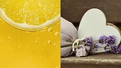 Aromas del equilibrio: Las esencias Feng Shui para la prosperidad