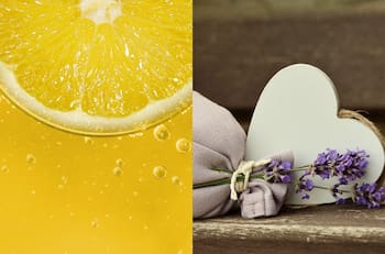 Aromas del equilibrio: Las esencias Feng Shui para la prosperidad