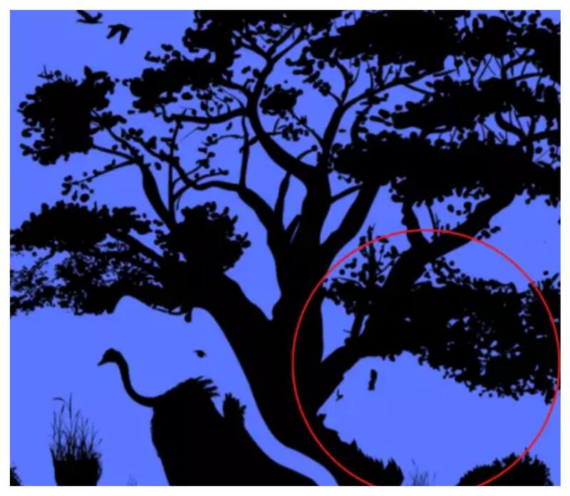 Test de inteligencia: el león como primera figura individualizada.