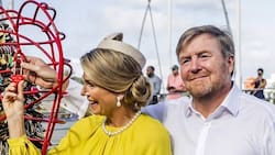 Reyes europeos celebran aniversario de bodas en el Caribe acompañados de su hija amenazada por mafia