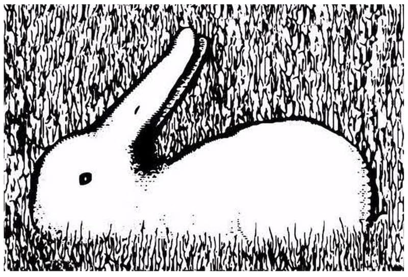 Test de personalidad: ¿Eres racional o positivo? - Créditos: Internet