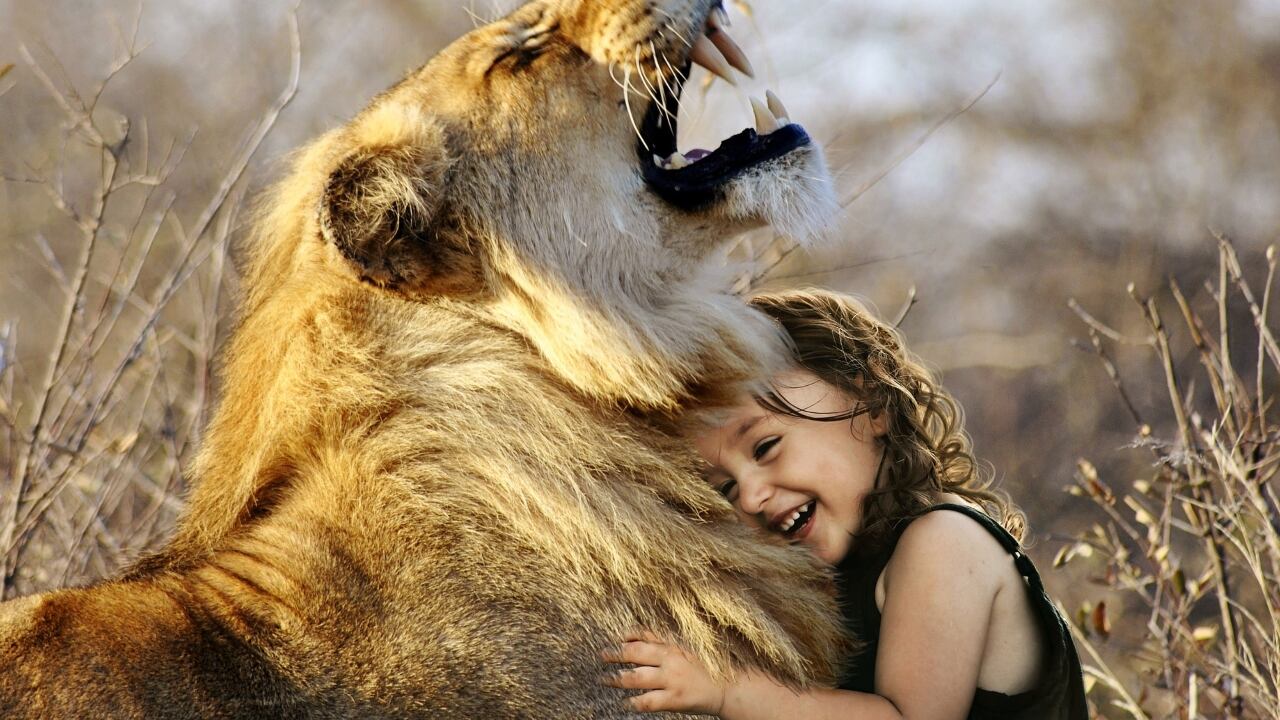 Niña abrazando a un león que está rugiendo