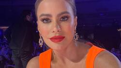 El día que Sofía Vergara reveló quién le robó el amor de su esposo