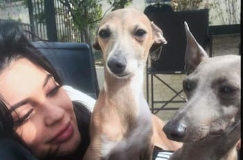 Kylie Jenner es atacada por sus perros y casi pierde sus extensiones