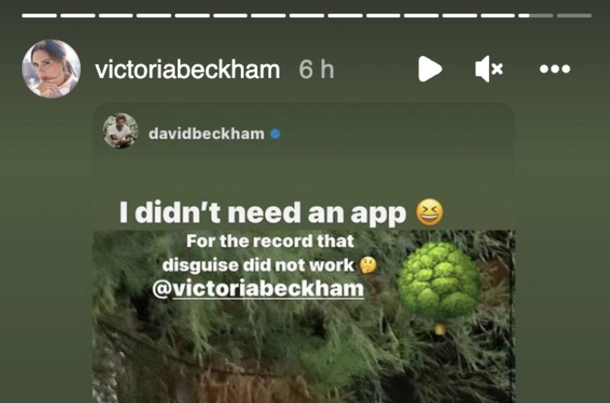 Victoria Beckham no se salva del trolleo de su esposo y comparte inesperada reacción