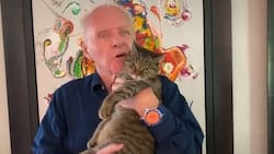 Anthony Hopkins enfrenta la triste muerte de un compañero de vida