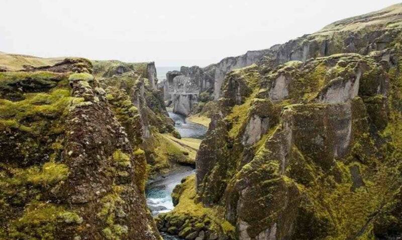Encuentra el tigre oculto en la foto