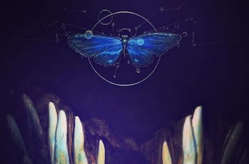 Numerología: Cuáles son los números que te darán suerte según el signo zodiacal que tengas