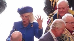 La reina Camila y su receta para pasar el bochorno del sombrero: "Me vendría bien un trago"