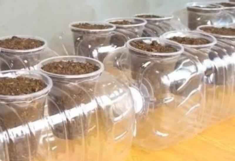 Huerto portátil en botella