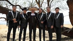 El corrido que Los Tigres del Norte le dedicaron a Vicente Fernández