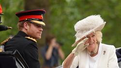 Camila no le perdona al príncipe Harry que la tratara de "villana peligrosa"