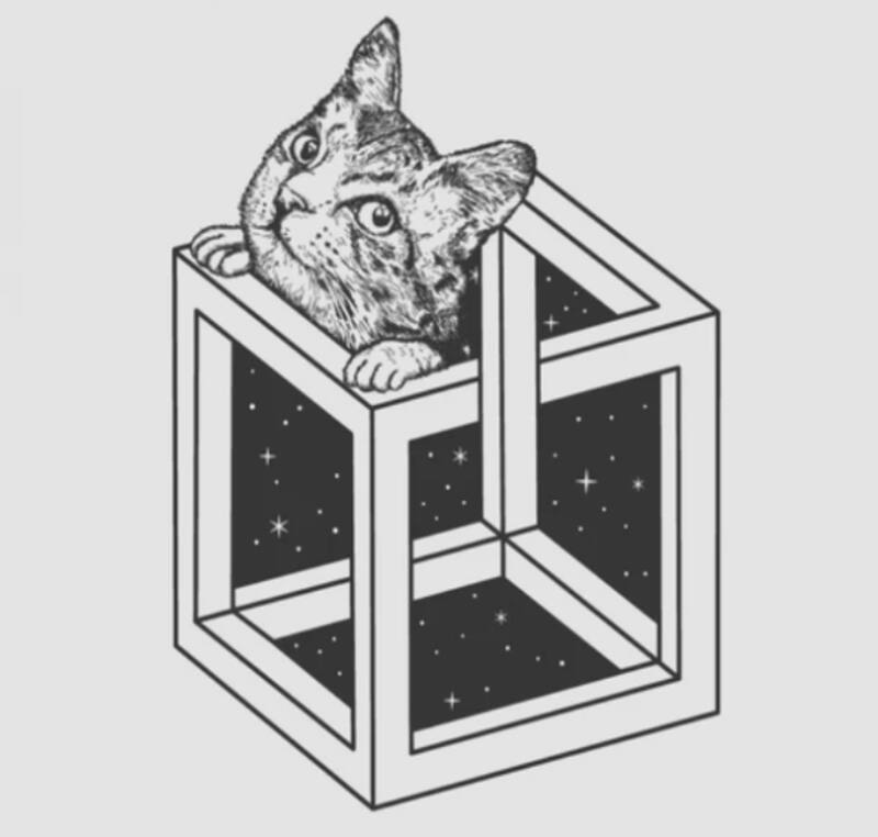 Mira la imagen y descubre si eres una persona calmada o estresada.