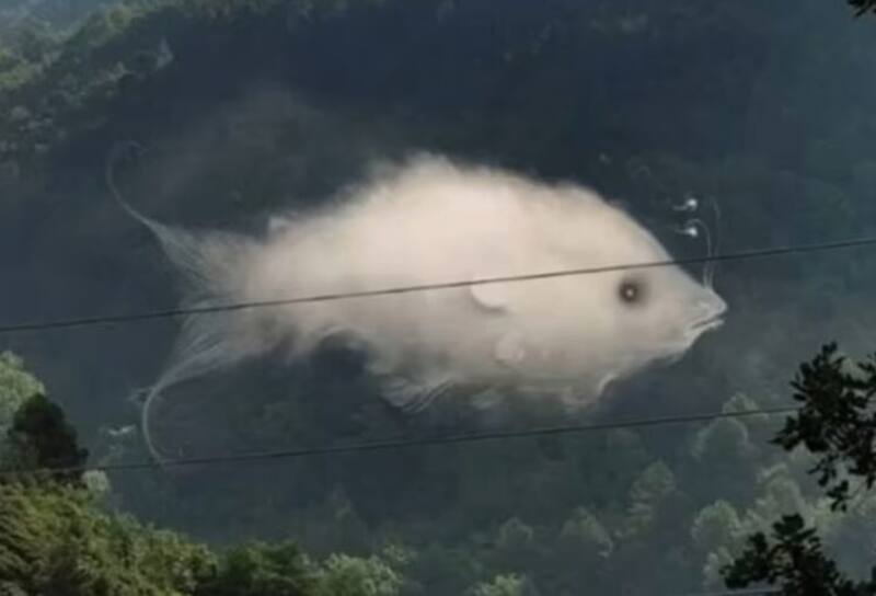 Descubre que es lo que buscas en una relación según lo primero que veas.