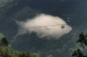 Test de personalidad: La ilusión óptica que revela tu esencia ROMÁNTICA