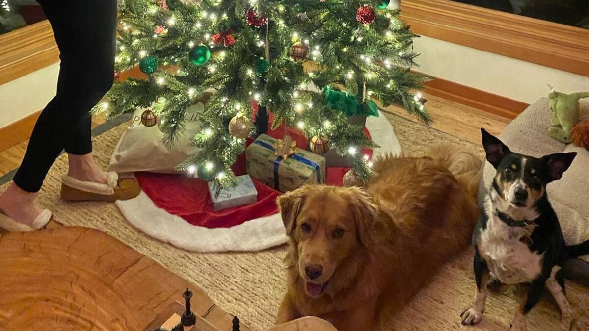 Estas 5 celebridades darán a luz durante 2023: algunas serán madre por primera vez