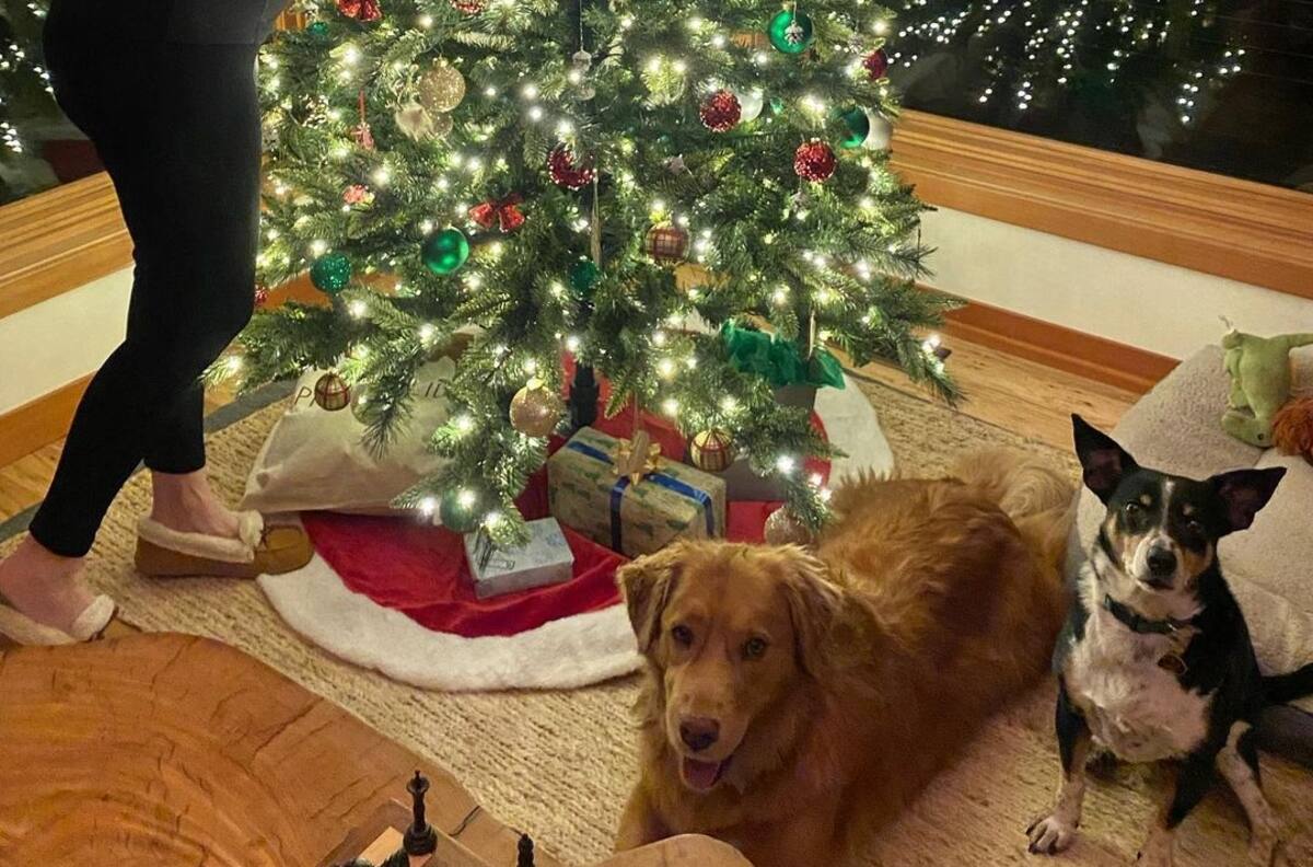 Estas 5 celebridades darán a luz durante 2023: algunas serán madre por primera vez