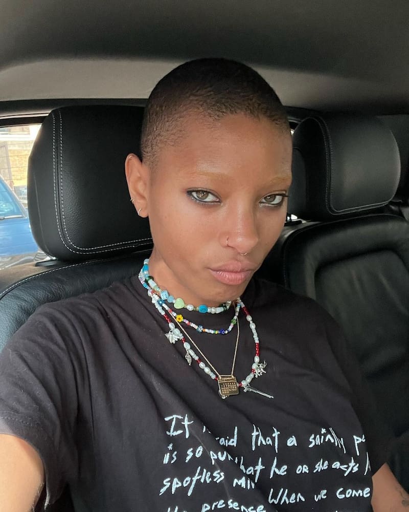 Willow Smith habla de su cabeza rapada Willow Smith cuenta los motivos que la llevaron a rapar su cabeza
- Créditos: Instagram