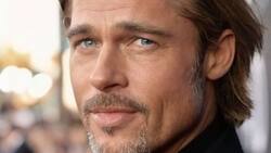 Reconocido actor escocés reveló que Brad Pitt le pareció "increíblemente hermoso" en 'Troya'