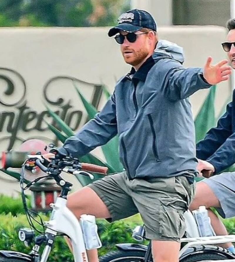 Harry apareció en una entrevsta hechas antes de saber que sería expulsado de Frogmore Cottage. - Créditos: Instagram