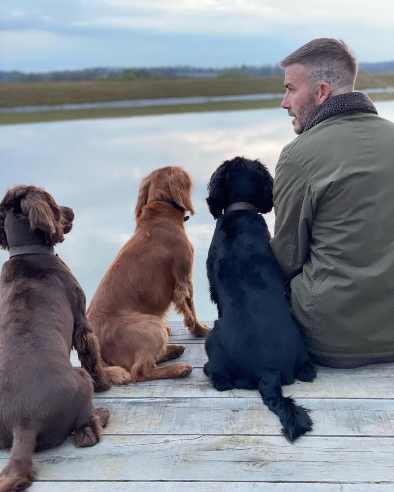 David Beckham presumió cómo su mascota domina el balón - Créditos: Instagram