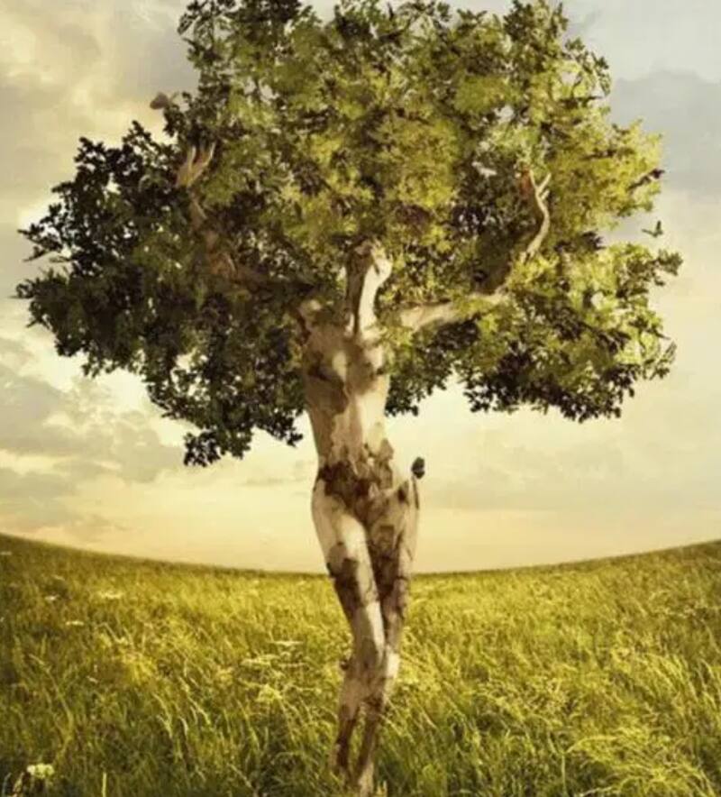 Descubre a través de tu primera impresión cuál es tu atractivo más fuerte.