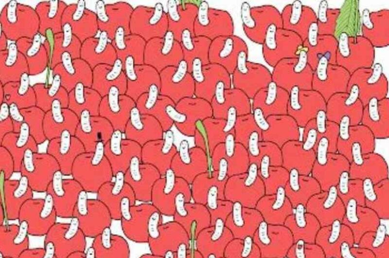 Encuentra la cereza que no tiene un gusano.