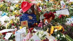 Reina Camila definió destino de más de mil osos Paddington entregados como tributo a Isabel II