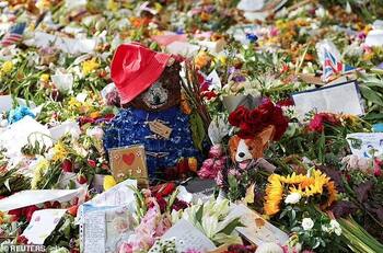 Reina Camila definió destino de más de mil osos Paddington entregados como tributo a Isabel II