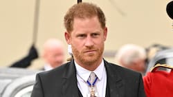 Príncipe Harry habría contratado la asesoría de un abogado especialista en divorcio