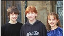 Estos son los mensajes que se envían Emma Watson, Daniel Radcliffe y Rupert Grint por whatsapp