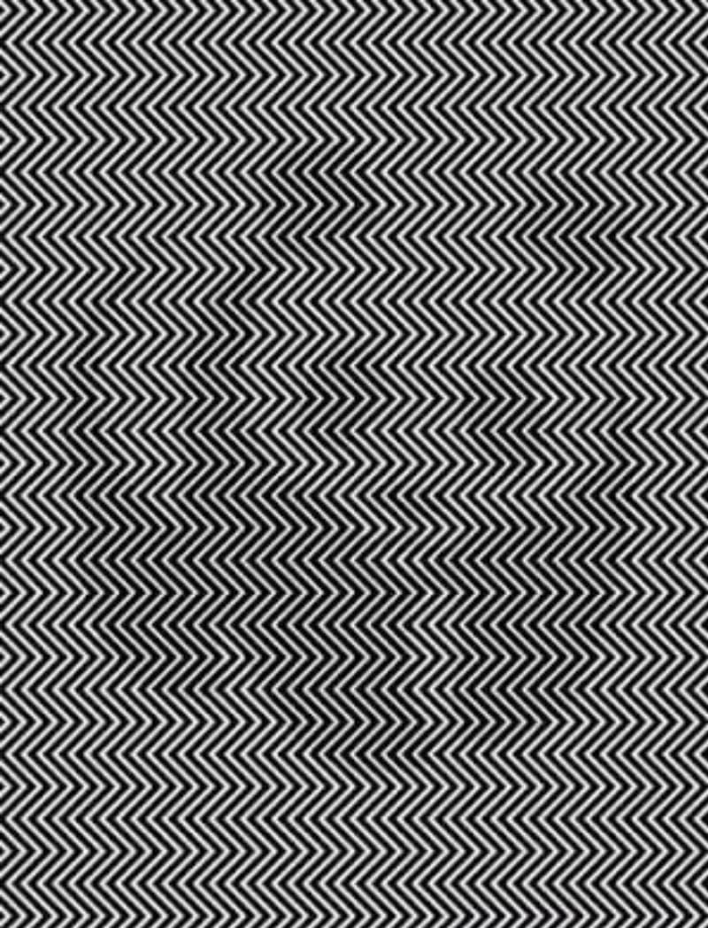 ¿Puedes ver el animal escondido en esta imagen?