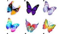 Elige una mariposa y descubre qué revela sobre tu personalidad
