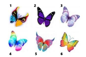 Elige una mariposa y descubre qué revela sobre tu personalidad