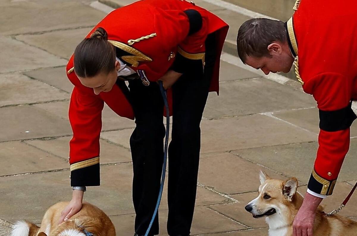 Corgis y caballo predilecto de la reina Isabel II esperaron en Windsor para el último adiós