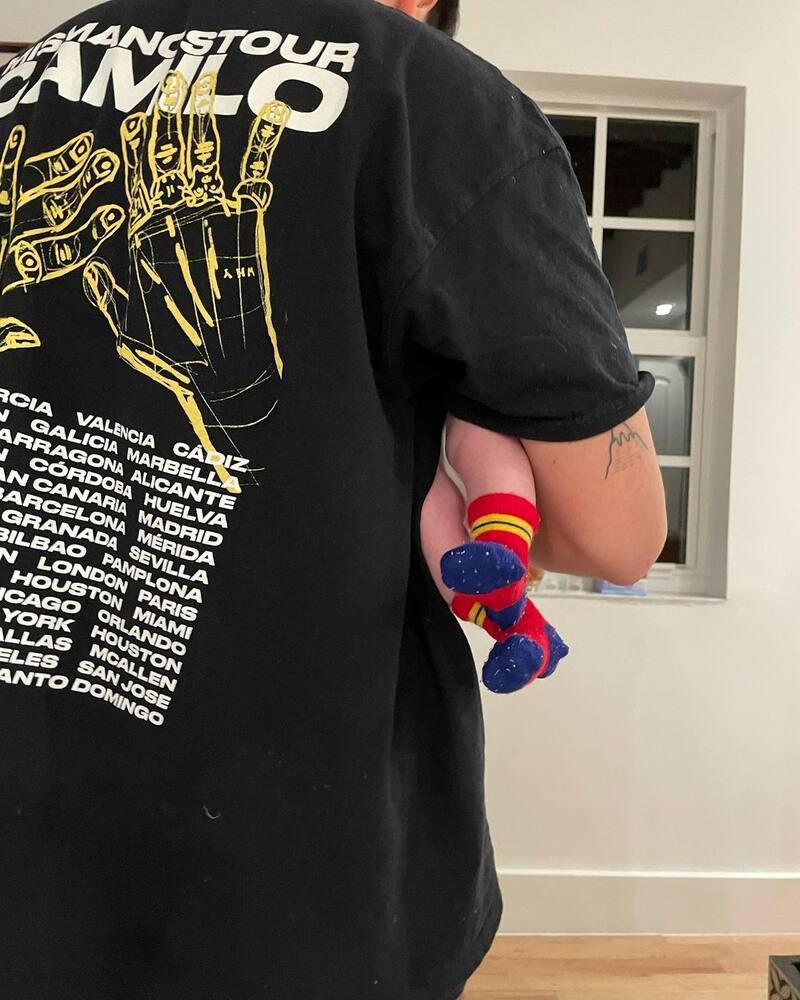 Camilo y Evaluna dieron la bienvenida a Índigo en abril pasado - Créditos: Instagram